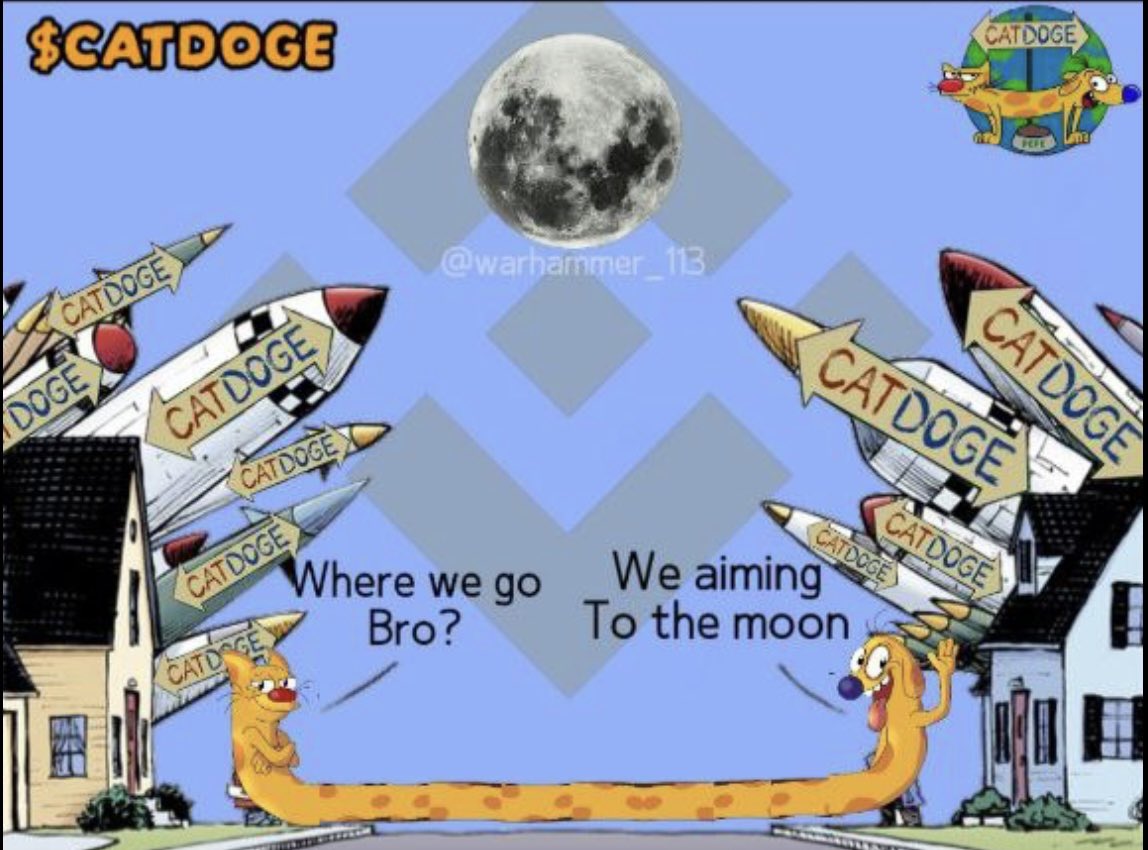 The Pigtator🐷 🐷🐷 tweet media