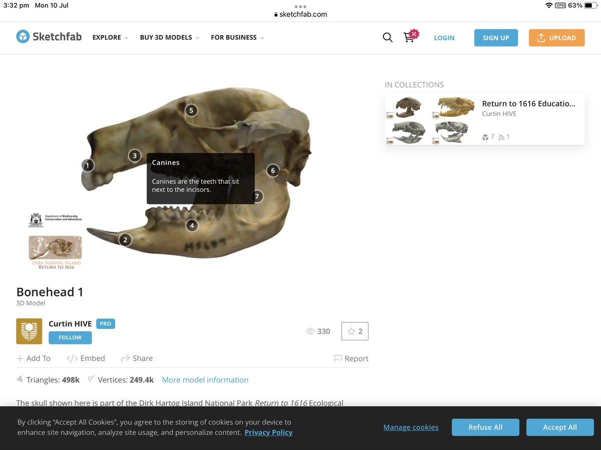 Time to get looking at some skulls! The Return to 1616 Dirk Hartog Island resource has fun for all primary school year levels! #CONASTA70