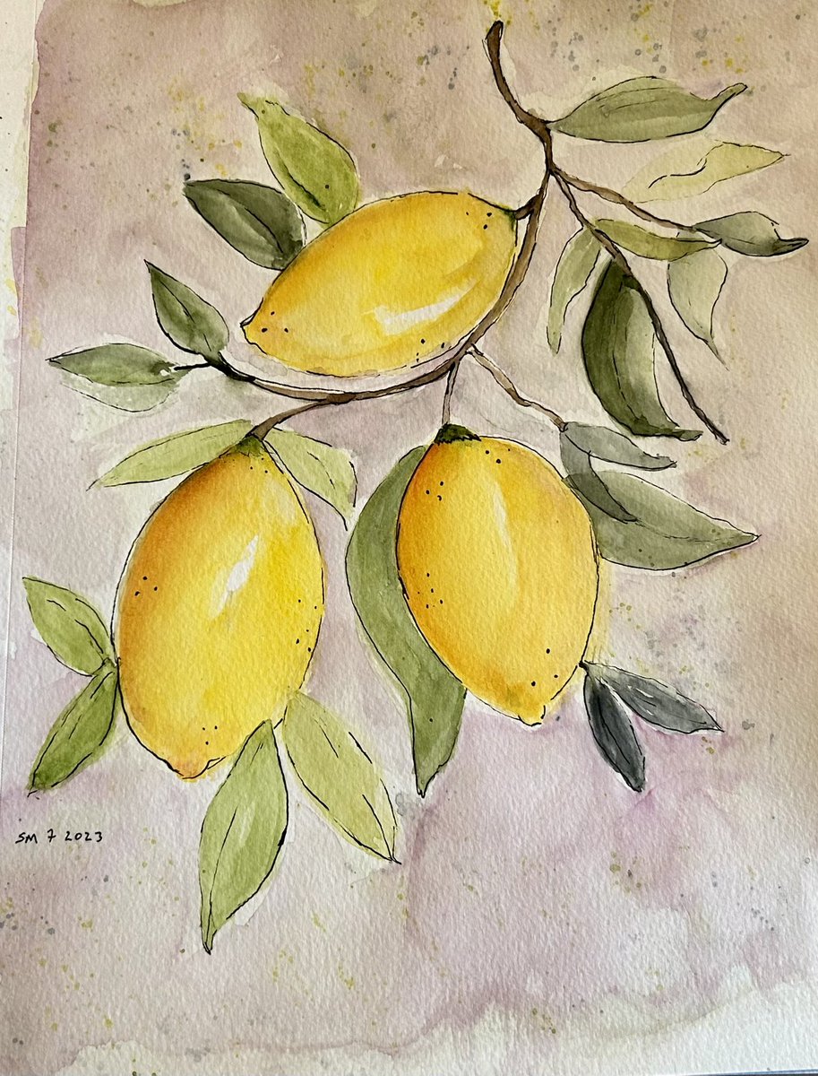 Day 7 Prompt “Lemon” watercolour and micro pen on 9x12”Cansons   Watercolour paper 
#worldwatercolormonth2023
