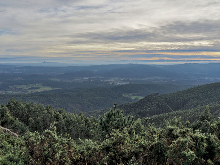 iviewpoint tweet media