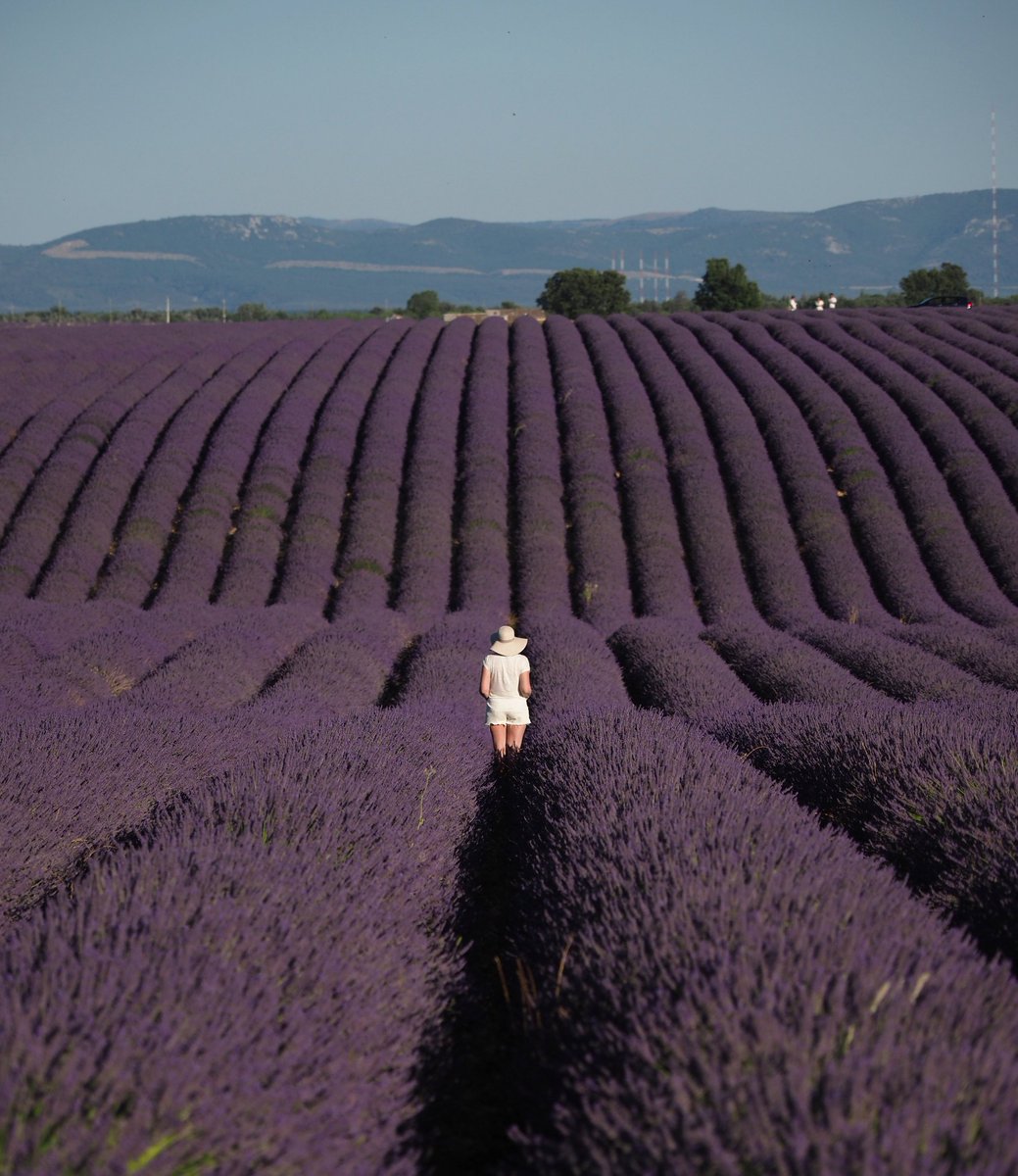 South 

_____
@France3Provence @ProvenceGuide @laprovence @aixmaville @AMPMetropole @LaProvenceAlpes @suddefrance @SouthofFrance @myprovencepro @tourismepaca #valensole #paca #sud #provence #lavandes #lavande #lavandes #travel #south #France @vinsdeprovence @RteVinsProvence