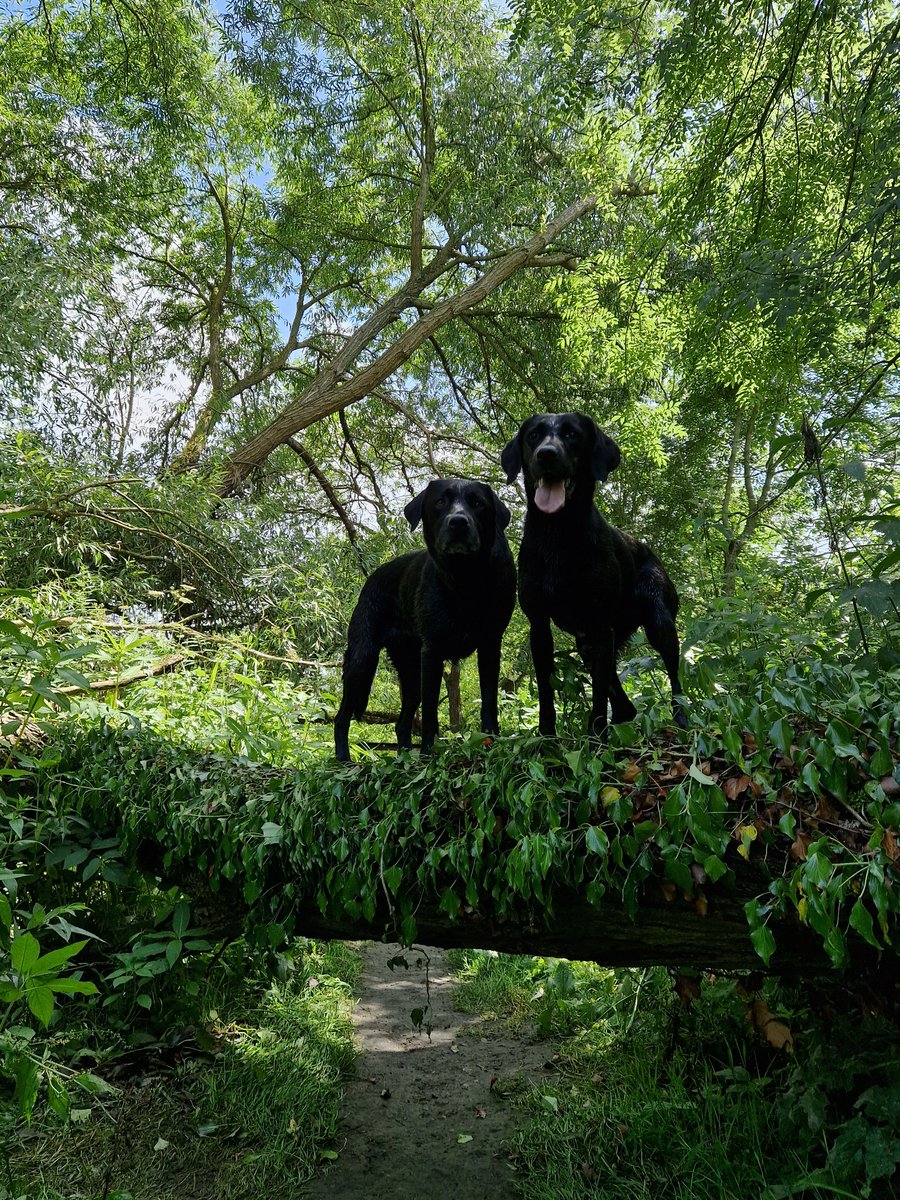 Good morning. Hope you all have a wonderful week ahead.