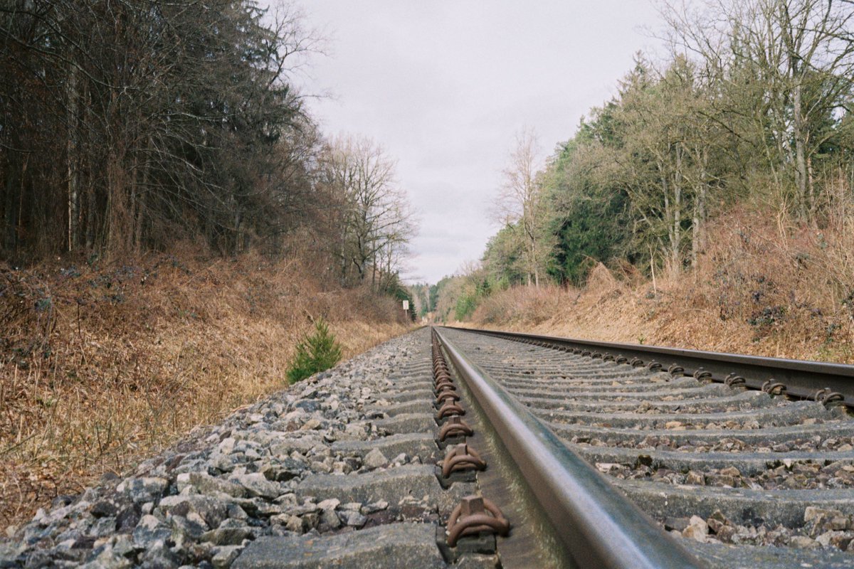 stiefkind's tweet photo. Fernweh. #picoftheday #analogfotografie #canonet28 #kodakcolor200 https://t.co/xJ8vgr7yi6