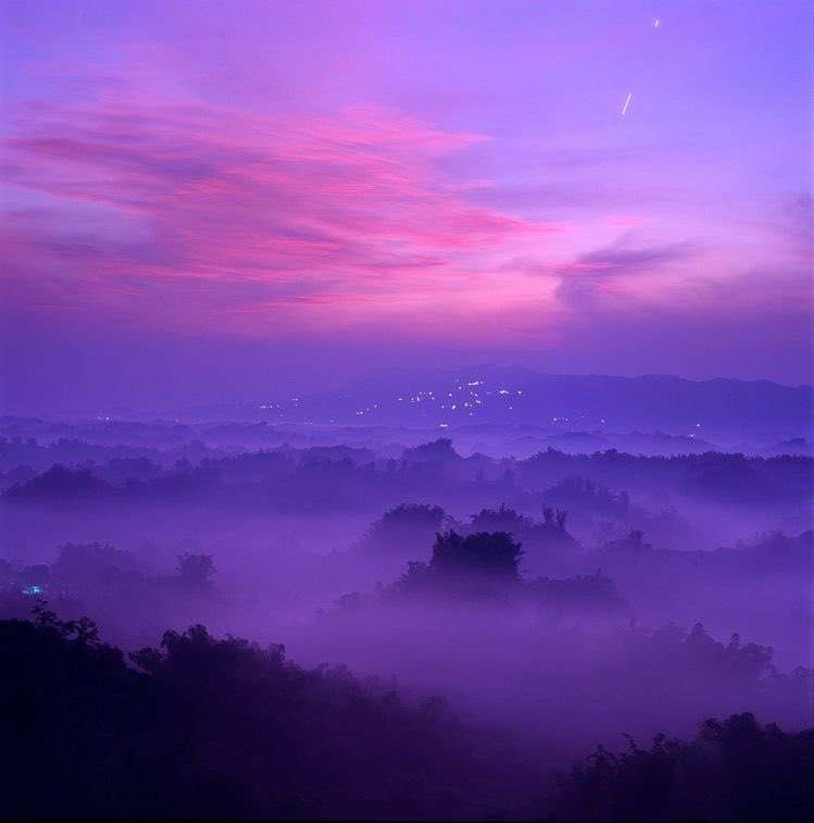 violet✧*。 tweet media