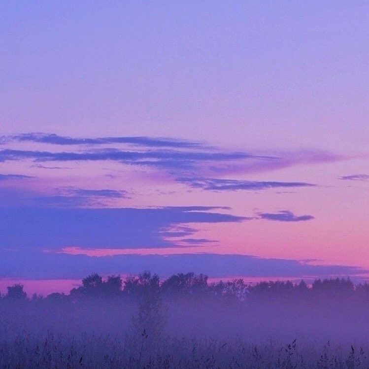 violet✧*。 tweet media