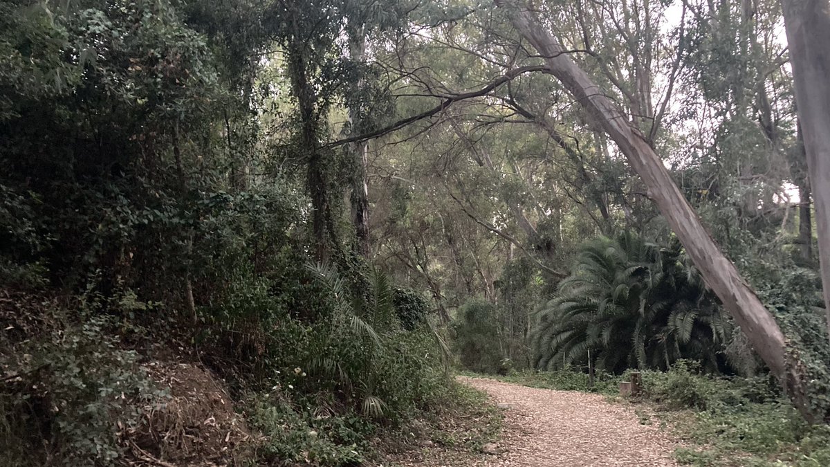 analogrunner's tweet image. ranny bech. a potom plavanje.