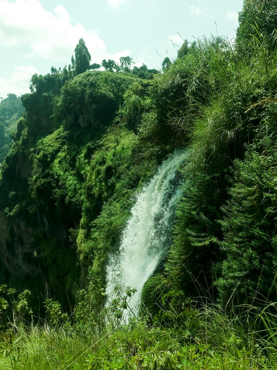 MbaleHikersClub's tweet photo. An incredible fitness hike to #Wanale Hill! The stunning views and cool breeze made every step worth it. Domestic tourism is definitely the way to go! Exploring the beauty of our own country not only energizes us but also helps local communities. #Travelbucketlist #ExploreLocal https://t.co/ktxgzLjoAe