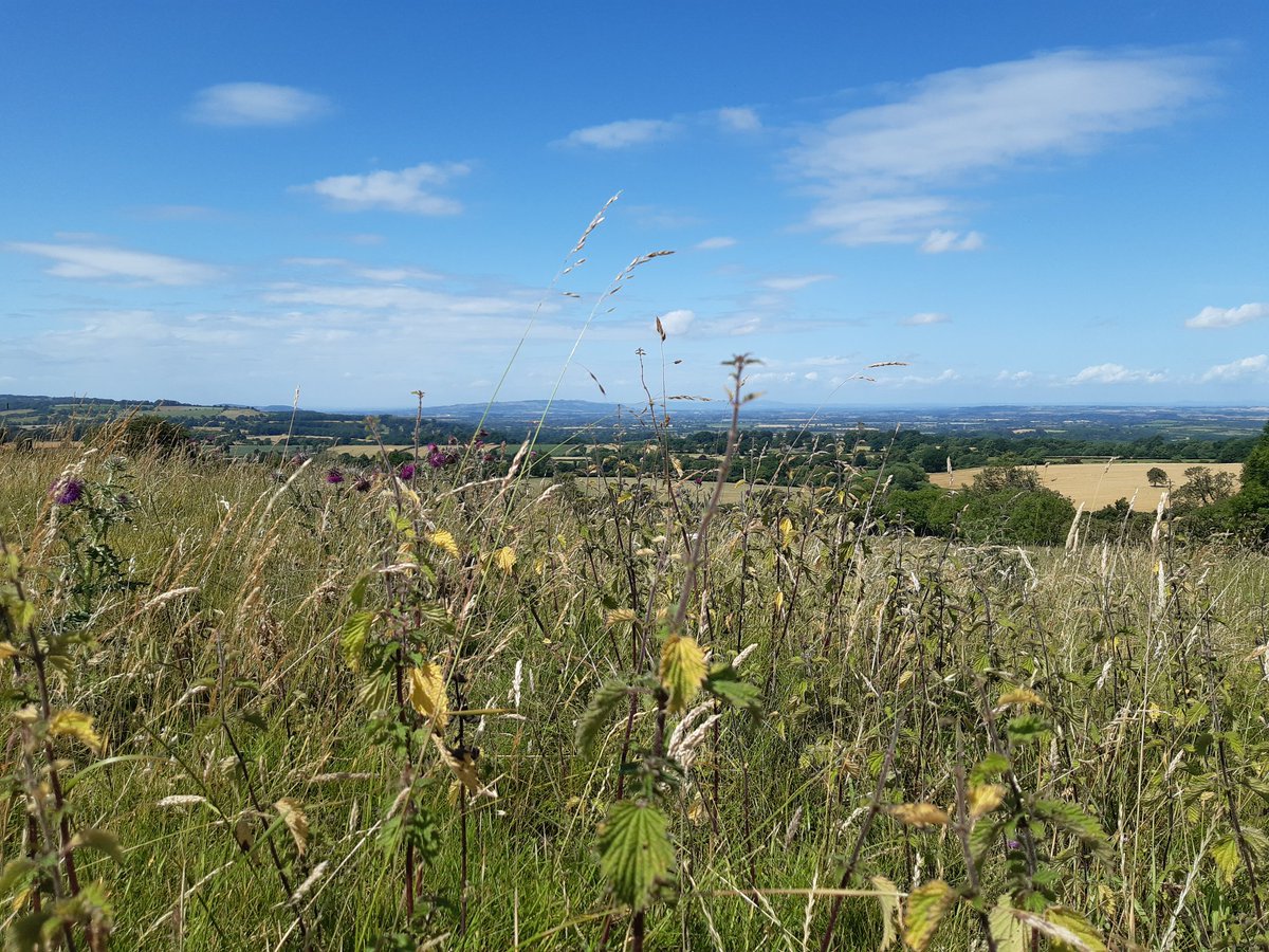 evesham ramblers tweet media