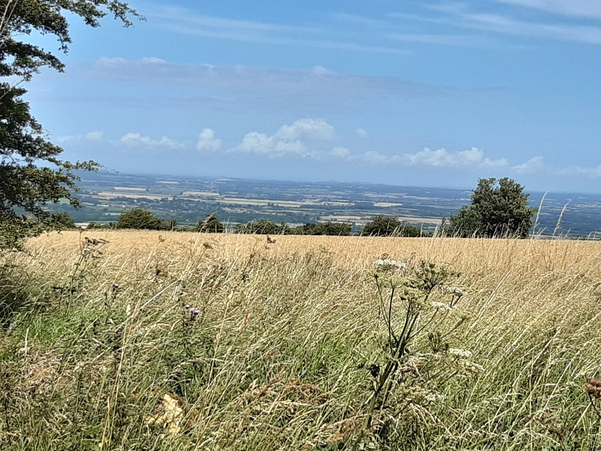 evesham ramblers tweet media