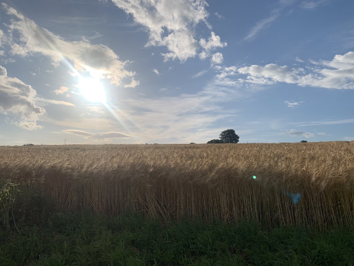 SimpsonJamie_'s tweet image. Great way to start the week ☀️