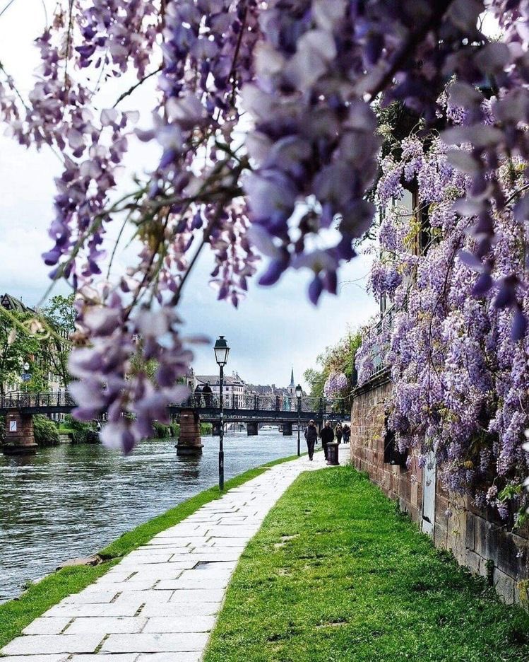 helena_mar19's tweet photo. Good Morning 
Happy New Week 

(France,📷Pinterest) https://t.co/o89BmpuYV9