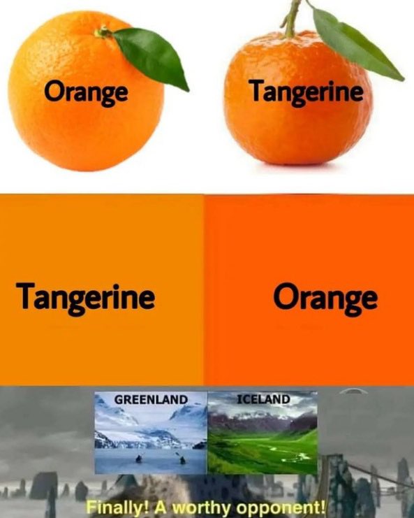 JacobBaker613's tweet photo. @PicturesFoIder 🍊 https://t.co/nLjtn5Q79I