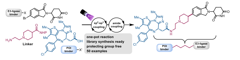 One-pot synthesis of CRBN PROTACs via photoinduced C(sp2)–C(sp3) cross coupling
#MedChem #customsynthesis #synthesisofsmallmolecules #drugdiscovery #processdevelopment #FTE #chemistryservices #CDMO #API #Pharma #ADC #PROTACs
chemrxiv.org/engage/chemrxi…