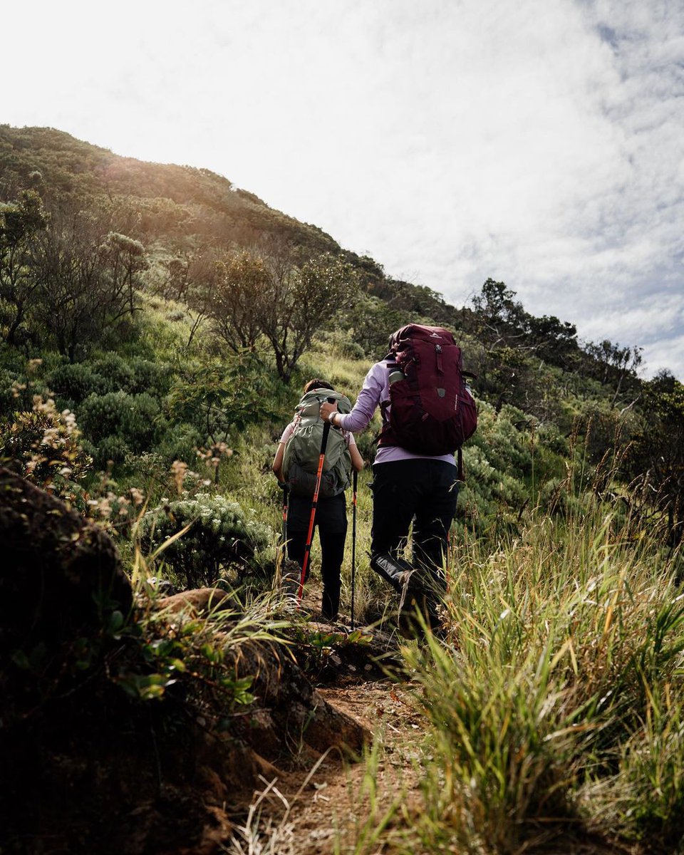 eigeradventure's tweet photo. Siapa Eigerian yang kangen mendaki?

#EIGERTropicalAdventure https://t.co/YVZaXhhWrT