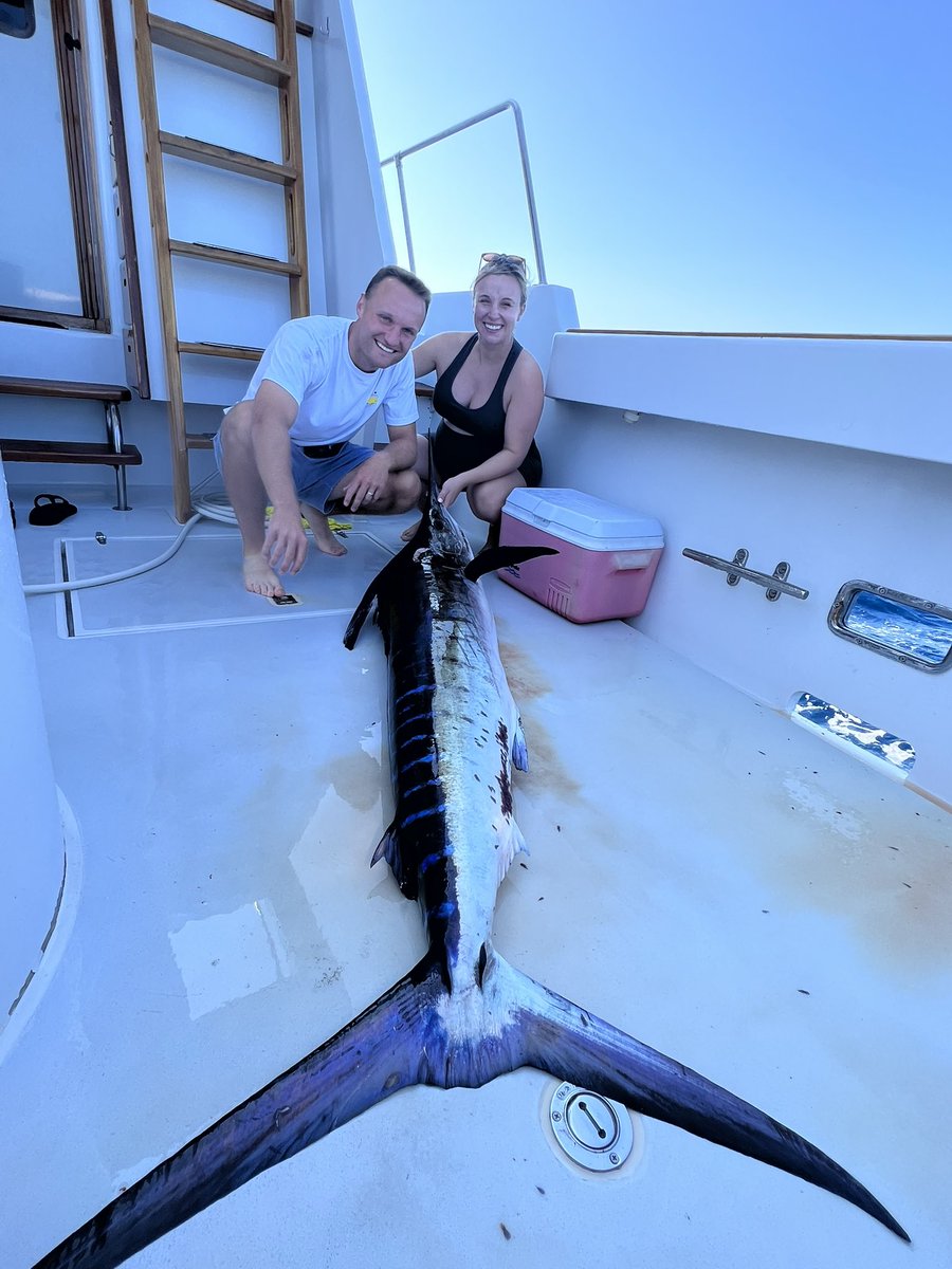 Logan Baumann tweet media