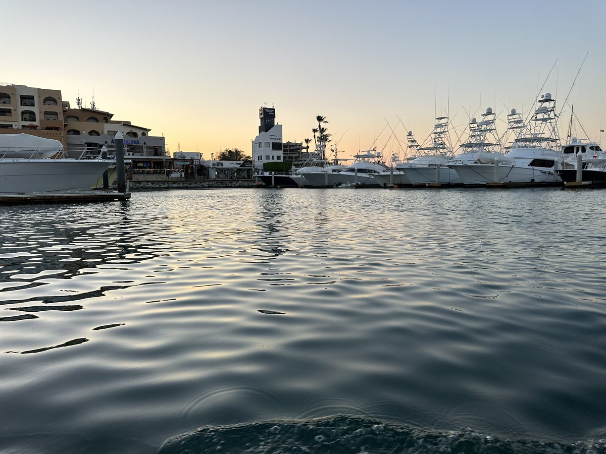 Logan Baumann tweet media