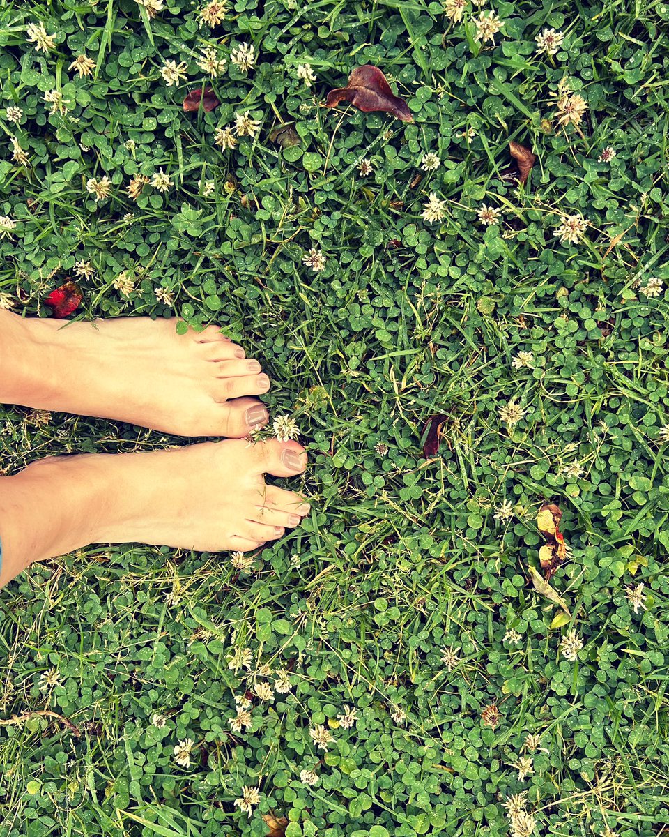 MimiFeet15's tweet photo. https://t.co/XbRQpeP6G5