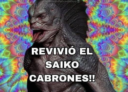 fakefamous's tweet image. 