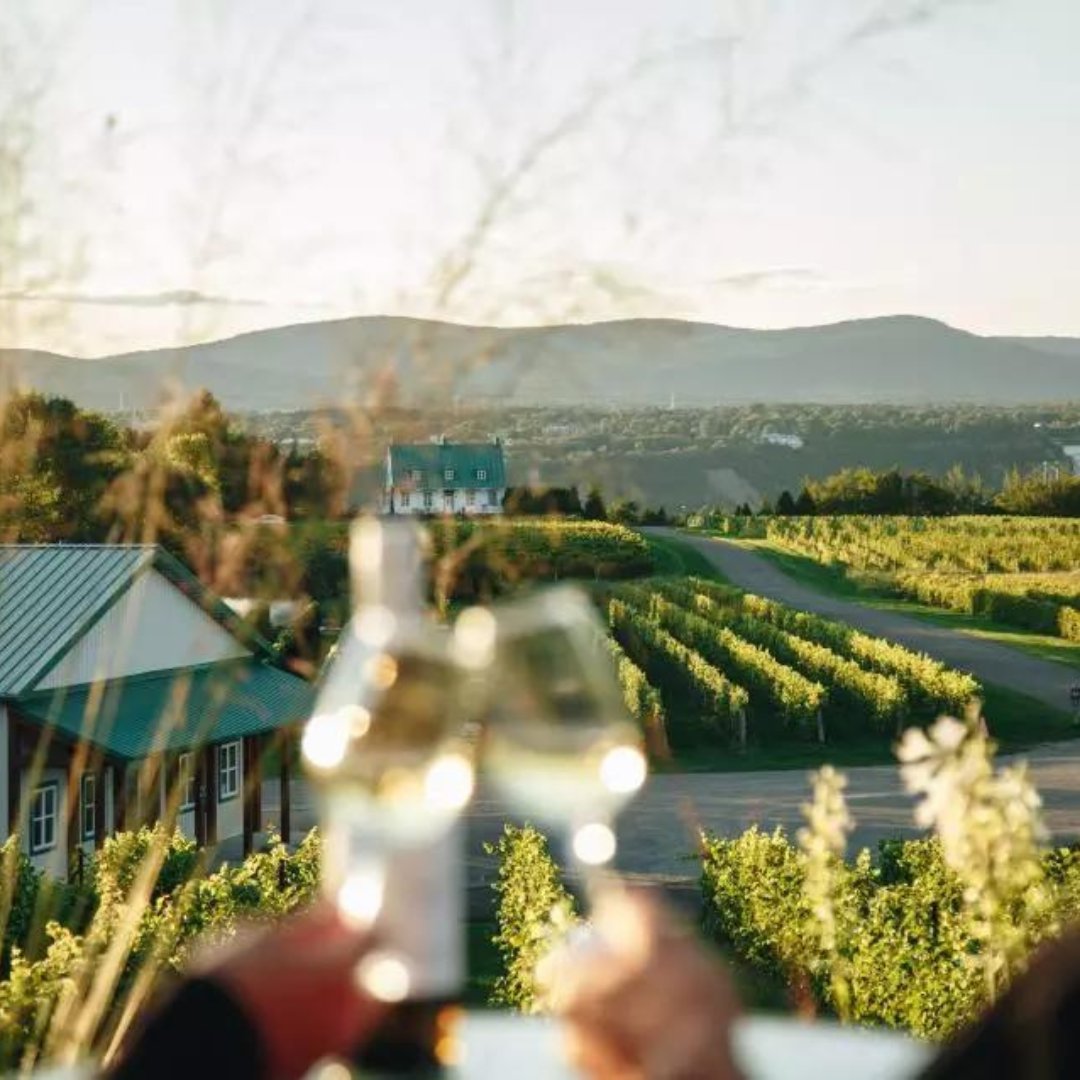 This summer, soak up the beauty of île d’Orléans! Here are a few suggested stops, but the most important thing is to leave room for spontaneity! 🍦🍓🍷🤩 #quebeccite

👉 bit.ly/IleOrleansMust…