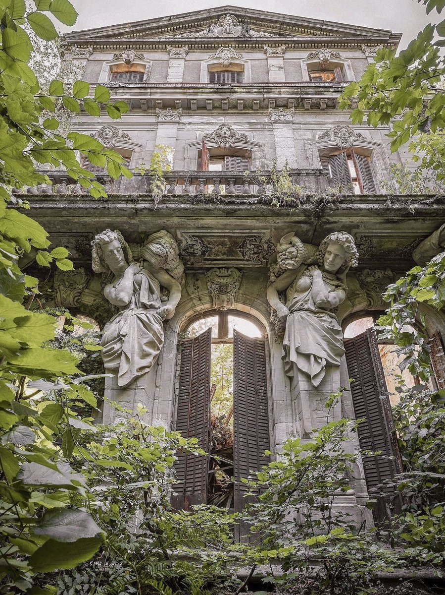ValentyneDreams's tweet photo. What was stolen by the city, nature restores. https://t.co/3IdY0426BI