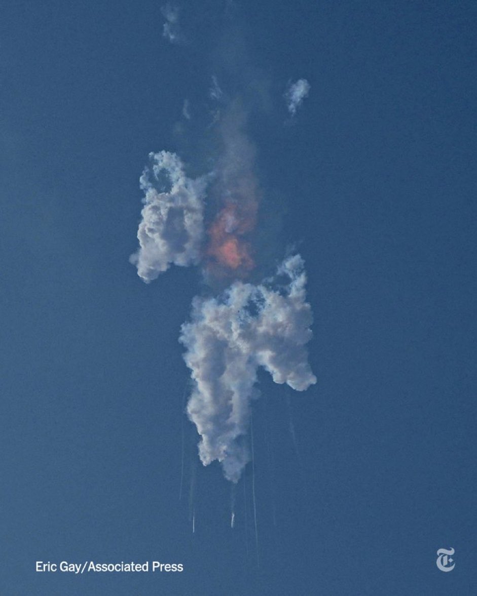 Elongated Muskrat tweet media