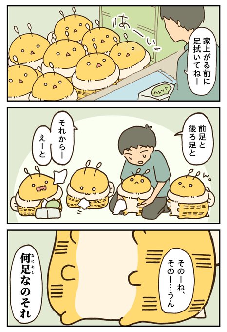 デカいはちを家にあげる話 