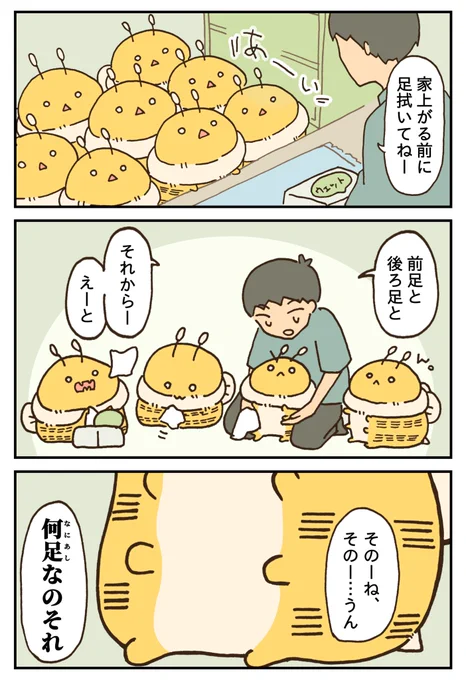 デカいはちを家にあげる話 