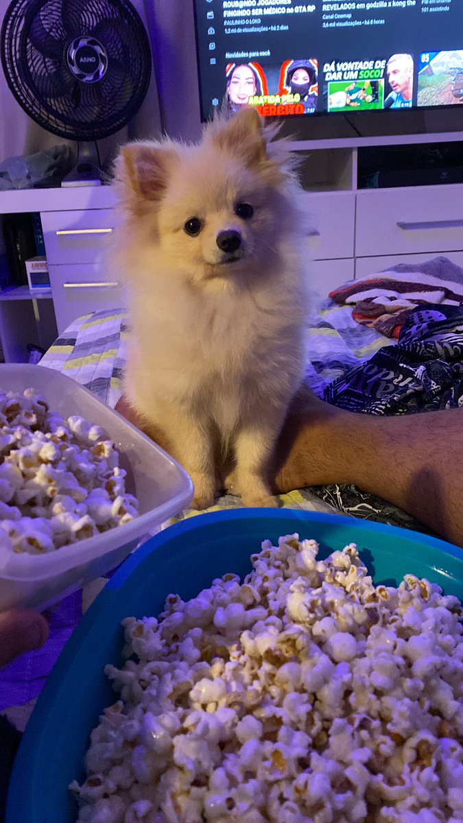 Thrj022's tweet photo. Nosso cinema em casa 😂 https://t.co/mJc7Iurrmz