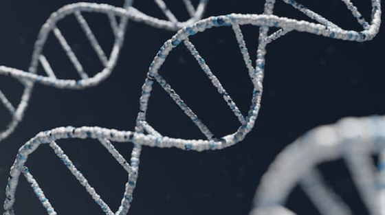 DeakinLaw's tweet photo. 📰 | A new report argues laws are needed to protect Australians from life insurance discrimination based on genetic tests that identify increased risk of certain medical conditions. 

Read more ➡️ https://t.co/EDVZwlAONR via @MonashUni with contribution from @Deakin’s @peclgl https://t.co/yCSWKtg9Ul