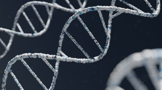 📰 | A new report argues laws are needed to protect Australians from life insurance discrimination based on genetic tests that identify increased risk of certain medical conditions. Read more ➡️ ow.ly/GV5W50P2e1I via @MonashUni with contribution from @Deakin’s @peclgl