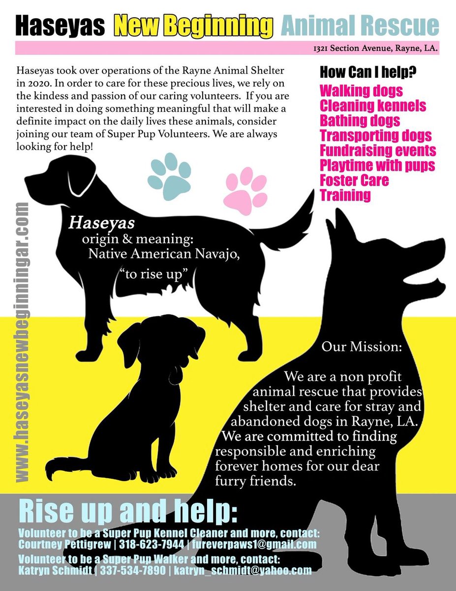 ❤️‍🔥 Haseya's New Beginning Animal Rescue is a non-profit no-kill 🛟 in #Louisiana. They’ve had to close intakes until they get 🐶s adopted. Some 🐕 been there for yr+! 🥺 Thanks to @BISSELLPets #EmptyTheShelter adoptions are $25 for July! Visit: haseyasnewbeginningar.com Pls RT🙏🏼🐾