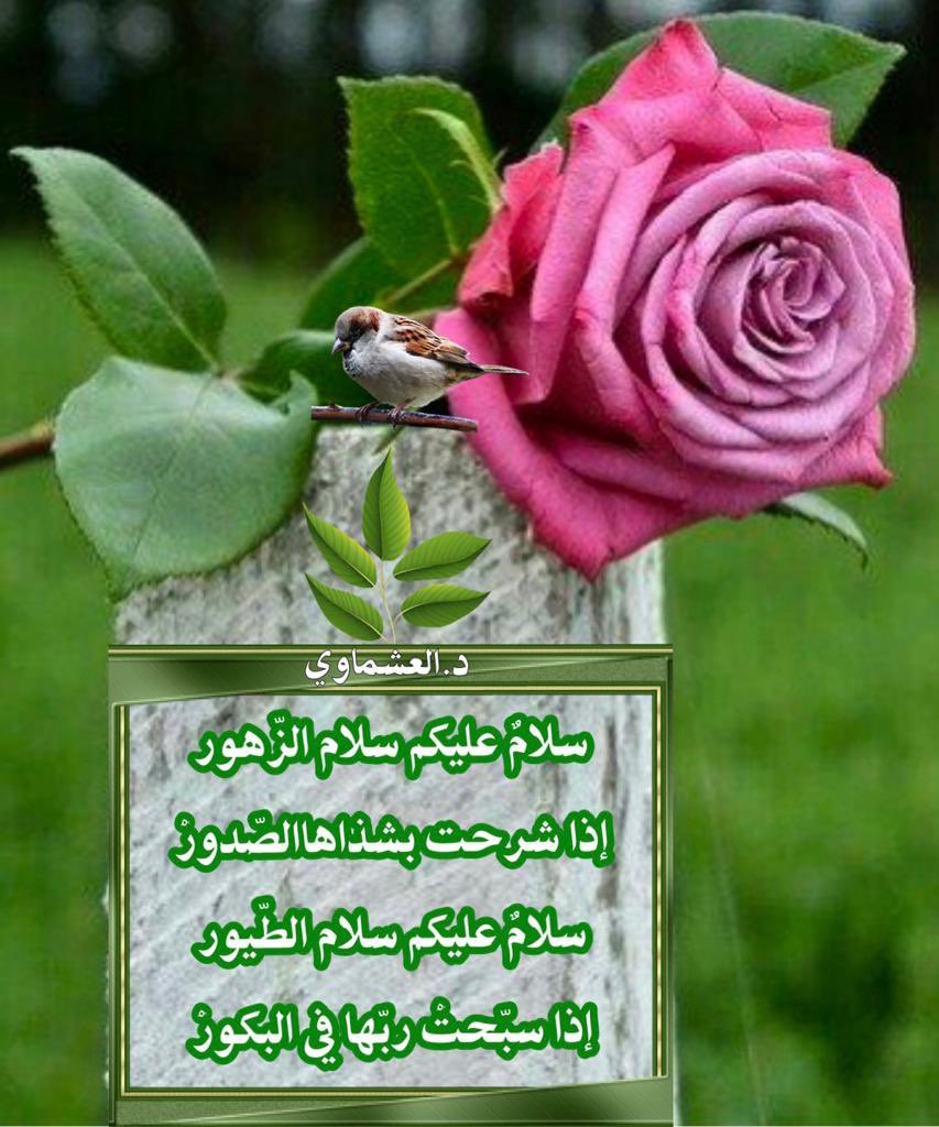 Dr_Ashmawi's tweet photo. #السلام_عليكم_ورحمة_الله_وبركاته 
#العشماوي 🌿 https://t.co/abgVBIfbWL