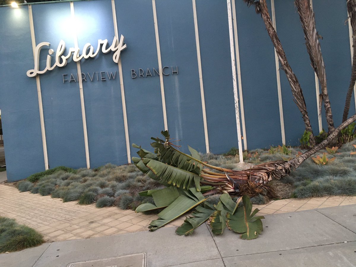 tree down at the fairview branch  partially blocking sidewalk @SantaMonicaLibr @SantaMonicaFire @santamonicacity