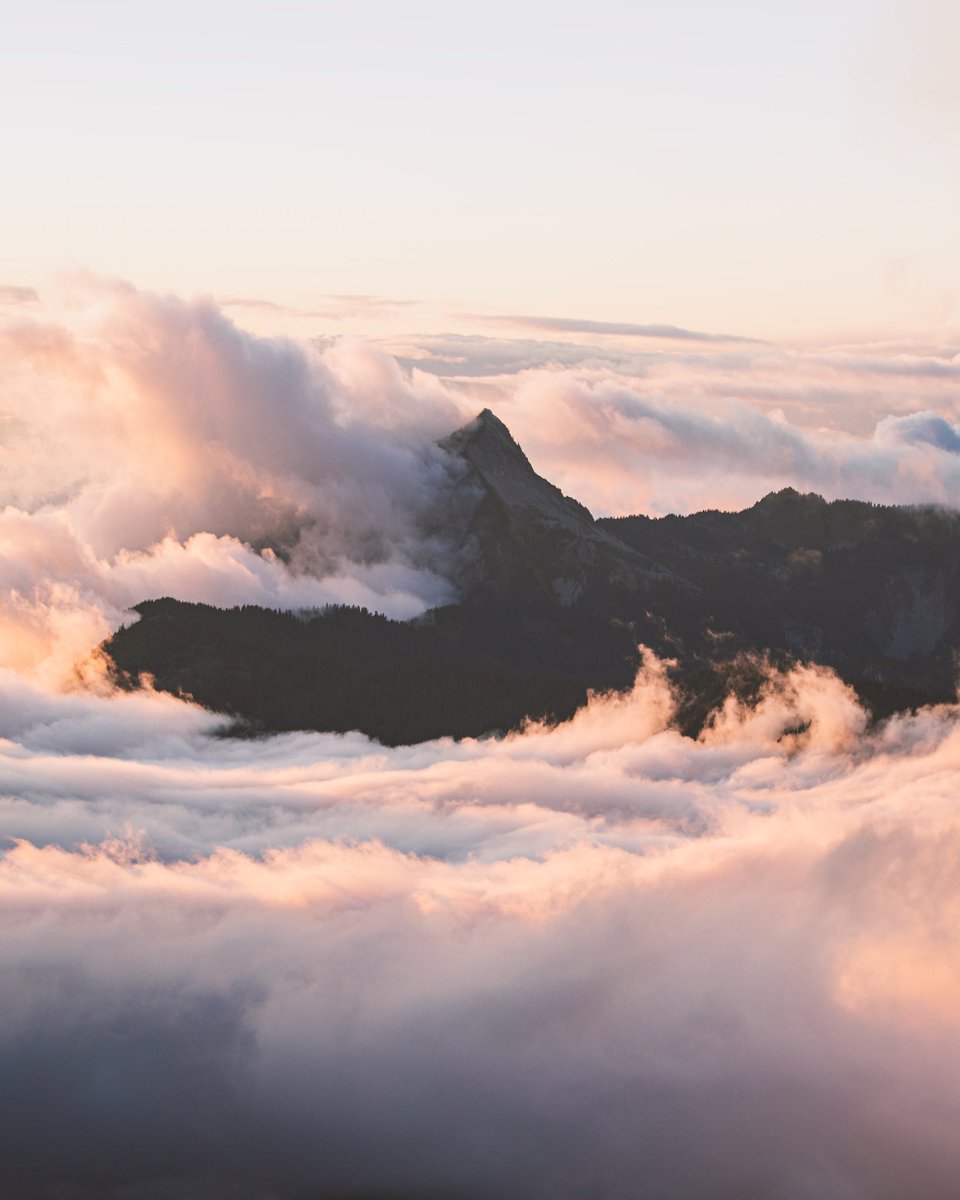 GM &amp; Happy Sunday 🧡✨