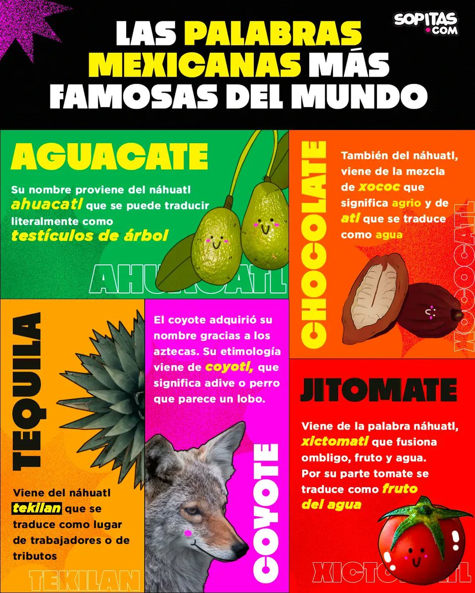 sopitas's tweet photo. ¡Orgullo mexa! Estas 5 palabras son parte de la cultura pop y su origen proviene de las lenguas madres de nuestro país. ¿Sabías su significado? https://t.co/N8SgvJfB9m https://t.co/awaWbwfTPu
