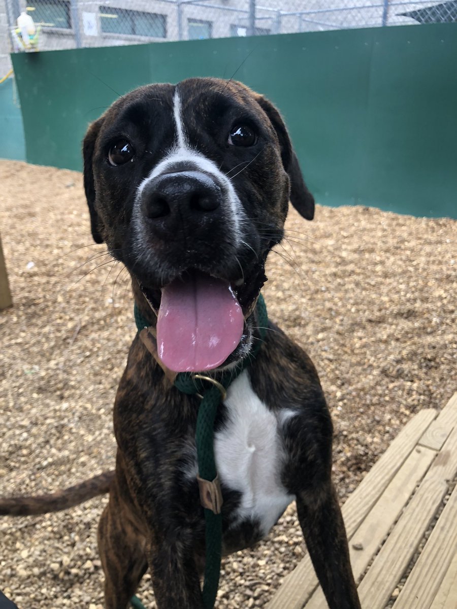 Christine Lovly, MD, PhD, FASCO tweet media