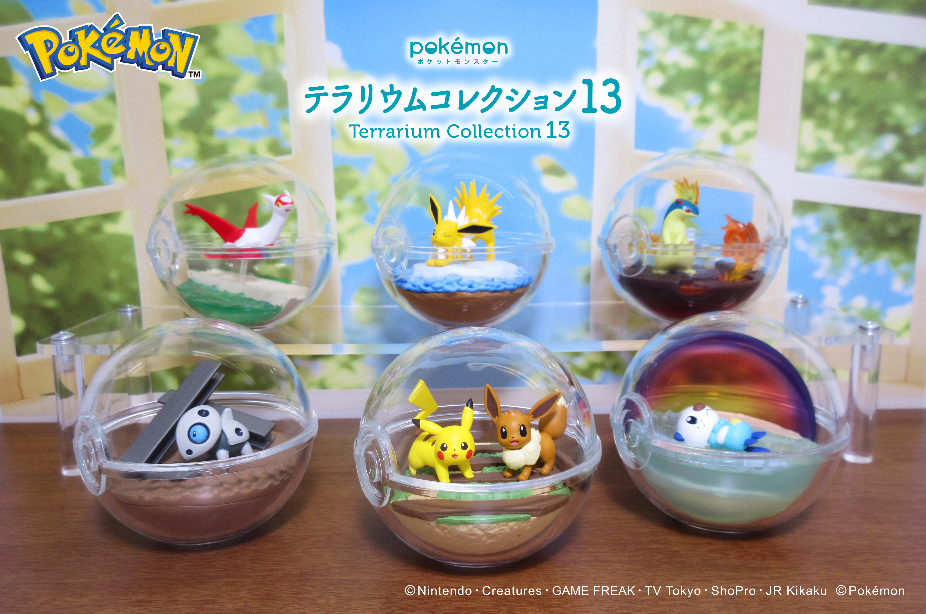 ポケモン リーメント まとめ売り リーメント (予約)10月27日発売 ポケモン ポケットモンスター