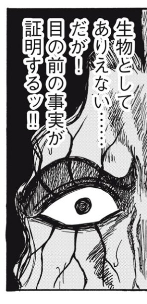 これはマジで想像の外 #忍者と極道 