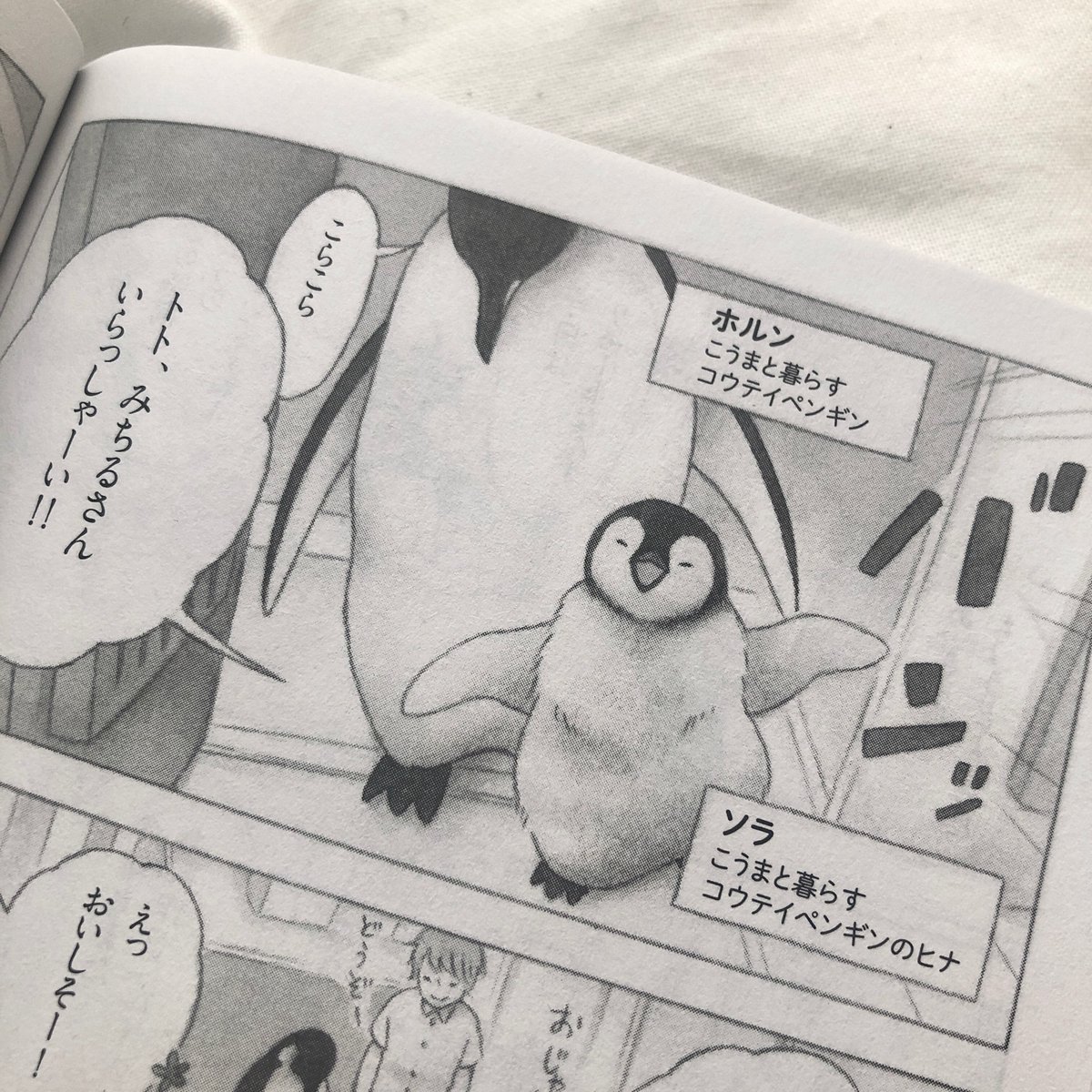 □お知らせ□

PHP Special 8月号にて『そよかぜの吹く日々に』第2回を掲載させていただいております🐻‍❄️
今回はみちるさん達のお隣さんが登場します🐧

こちらの雑誌は書店やコンビニにて販売されておりますので、是非お手にとっていただければ幸いです🍀
どうぞよろしくお願いします〜 