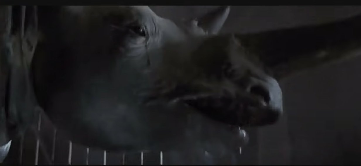 Jumanji Rhino Stampede