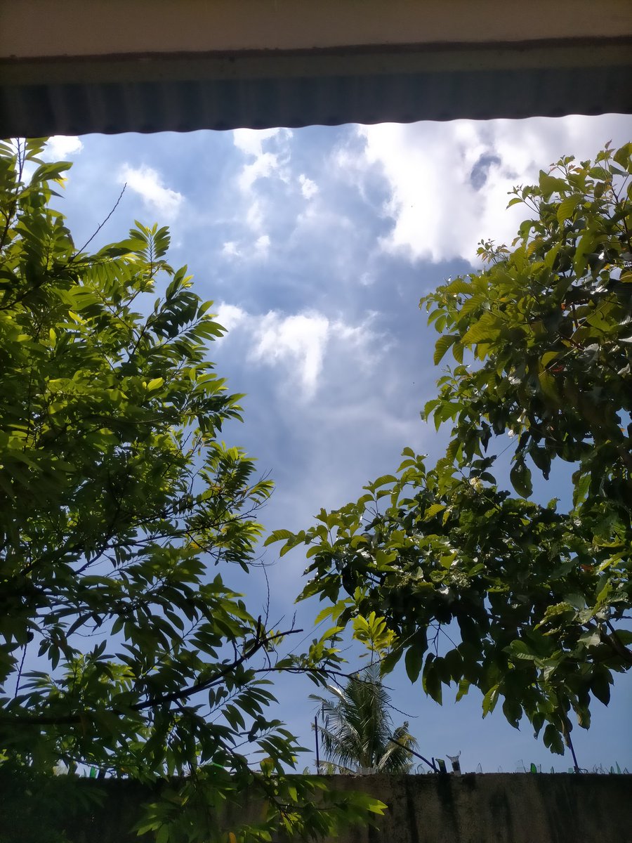 Anna Jean Canoy tweet media