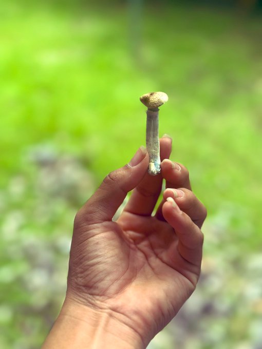 🍄 yummy. https://t.co/HqIMqkQphL<a href="/tag/girl"class="tags"><span>#girl</span></a><a href="/tag/girls"class="tags"><span>#girls</span></a><a href="/tag/beauty"class="tags"><span>#beauty</span></a><a href="/tag/sexy"class="tags"><span>#sexy</span></a><a href="/tag/hot"class="tags"><span>#hot</span></a><a href="/tag/latina"class="tags"><span>#latina</span></a><a href="/tag/latinas"class="tags"><span>#latinas</span></a>