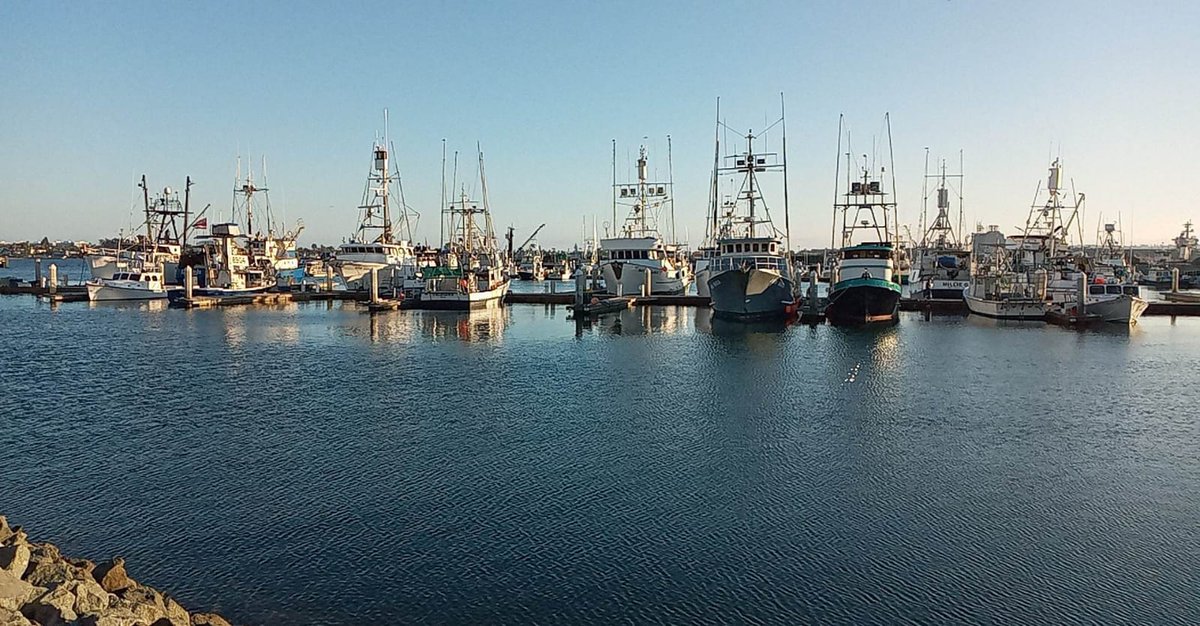 VlizBe1's tweet photo. There is no more beautiful blue than the blue of the sea! ⛵️🌊🦭 https://t.co/l3ItSZLkSR