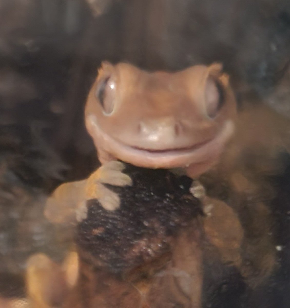 NJSNico's tweet photo. look at that smile 🙂 https://t.co/54GBoFdUTI