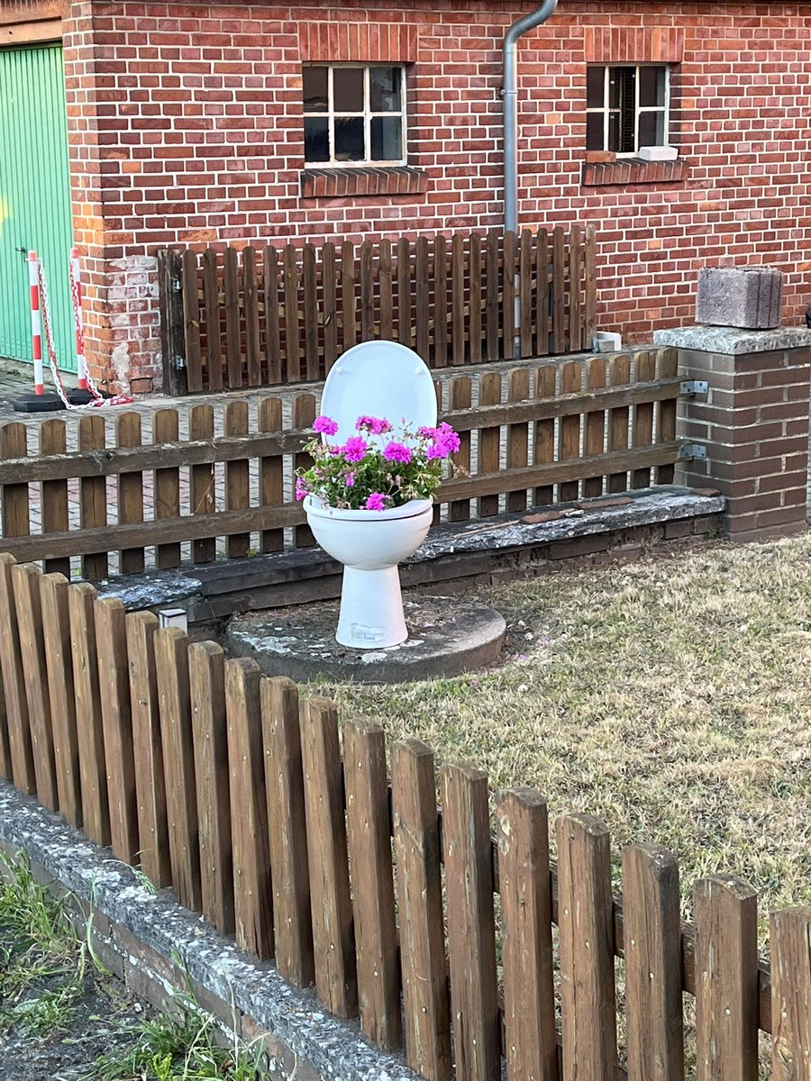 Красота