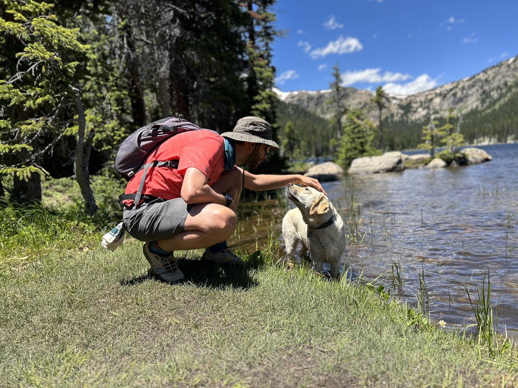 haeyoung kim tweet media