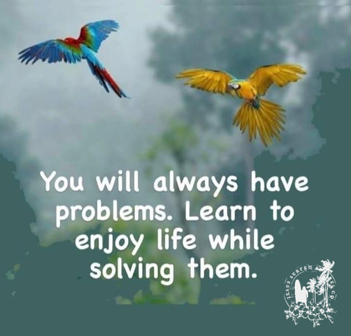 JesusSurfed's tweet image. #enjoying #solvingproblems #soul
#JesusSurfedApparelCo #JesusSurfed #FashionForTheFaithful

jesussurfedapparel.com