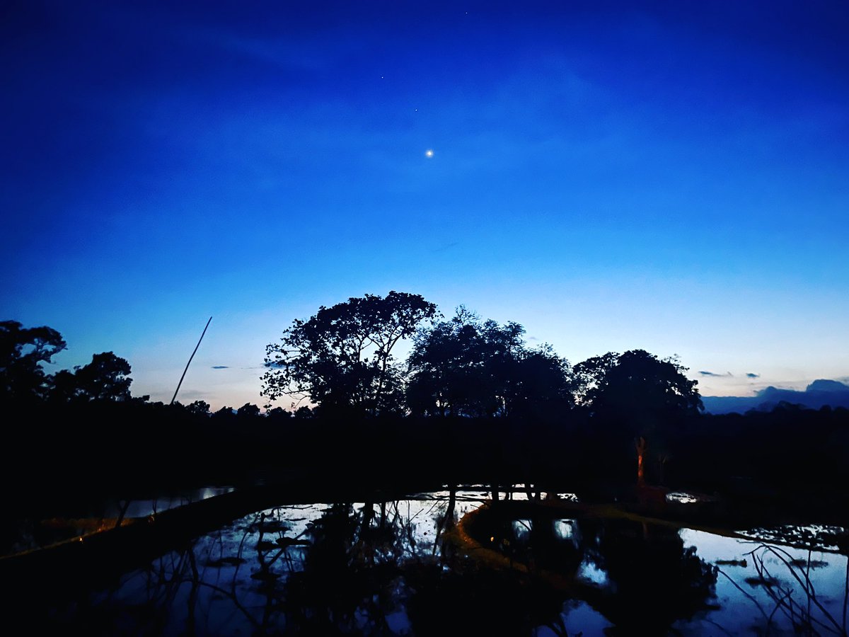 TravelBhi's tweet photo. ##NIGHT VIEWS ON IPHONE##
#pure odisha#Travel India #Travel Nature https://t.co/jcJqZZAlpC