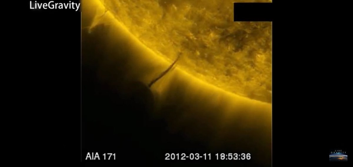 #Rev3_7 
#FaithfulChurch 
#1Kings18_24 
#Road777 
#AncientKey777 
#7Words 
#CelebrationOfTheSheepBeingSetFree 
#Repeatedly111 
#InGodWeTrust 
#CannabisHempTheGlobe
#Bible
#Gen1_11 
#USDAOrganic112 
#Rev20_1 
#OrganicFoodChain 
#GenesisHerb111 
#HempseedOil111 
#CannabisJuice111