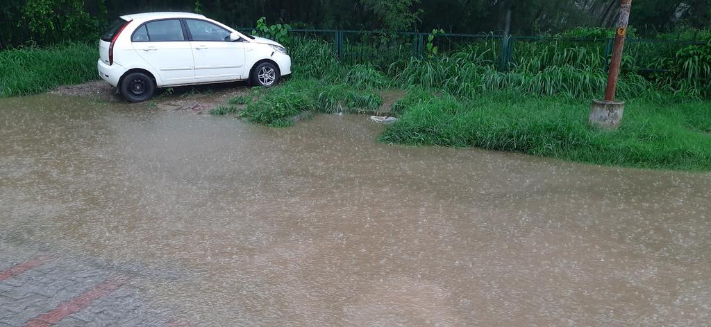 t4nelson's tweet photo. Rain water drain blocked causing water logging in Sector 45D near Chandigarh Baptist school gate @MCChandigarh #Chandigarh @ChandigarhCmc https://t.co/IjQswyqMhV
